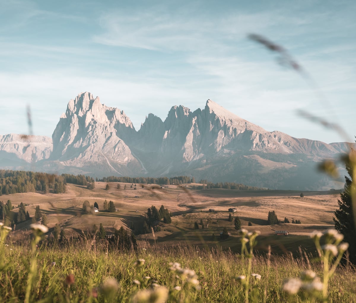 3. AUTUNNO D’ORO 6+1