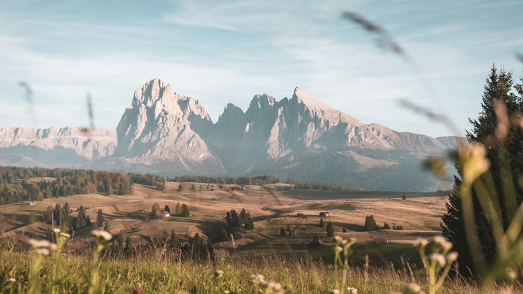 3. AUTUNNO D’ORO 6+1